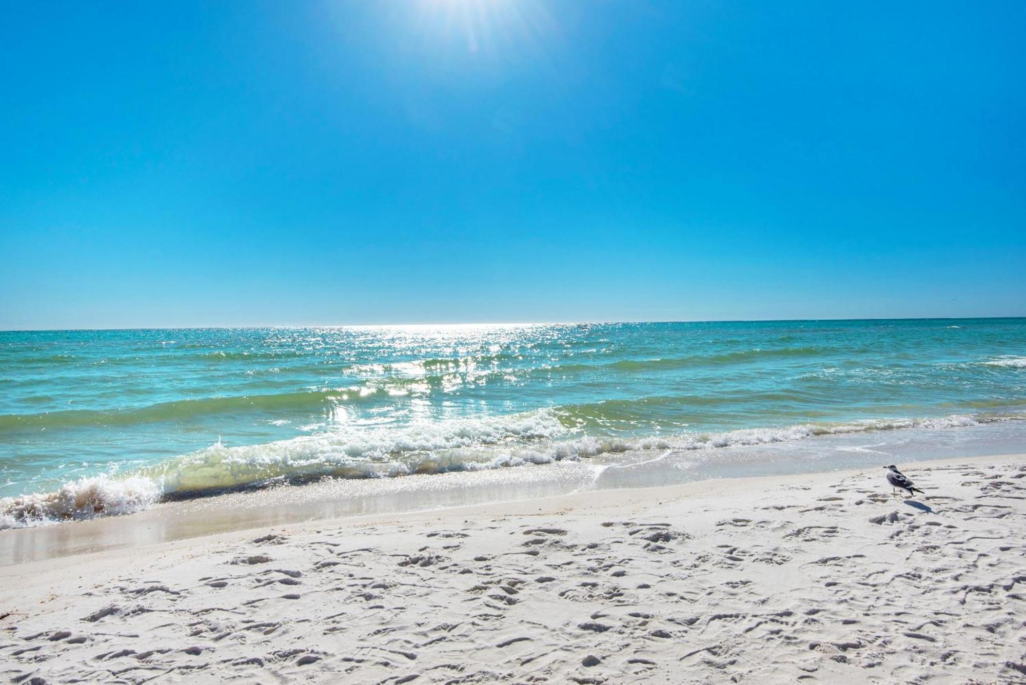 Shores Of Panama 1802 Panama City Beach Dış mekan fotoğraf
